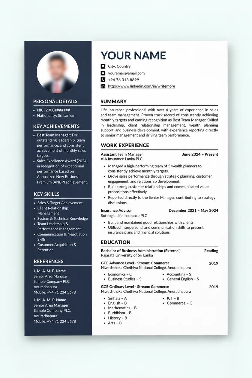 Professional Design CV